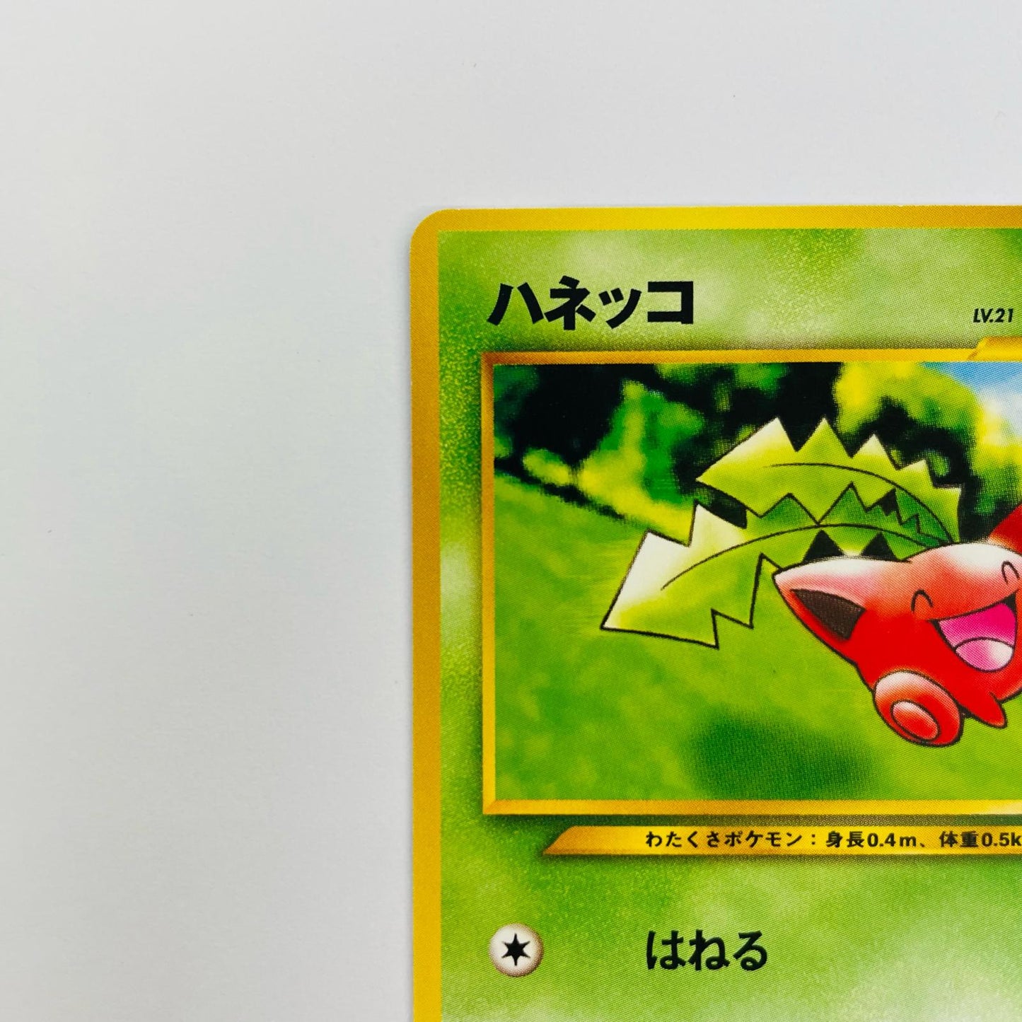 ハネッコLV.21 旧裏
