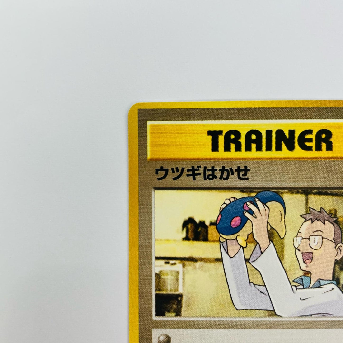 ウツギはかせ 旧裏