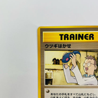 ウツギはかせ 旧裏