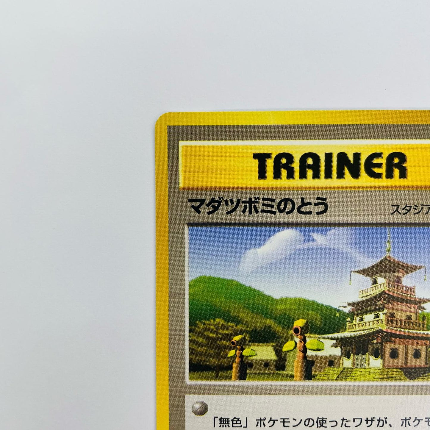マダツボミのとう 旧裏