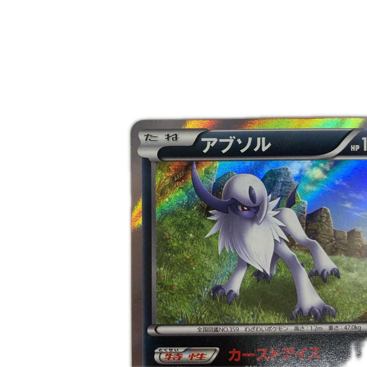 アブソル R XY6-034