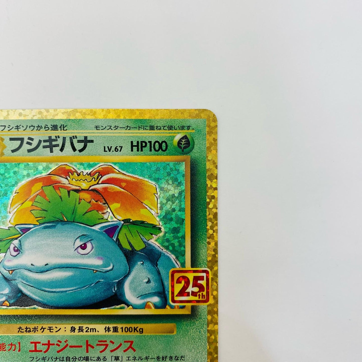 フシギバナ - S8a-P-002