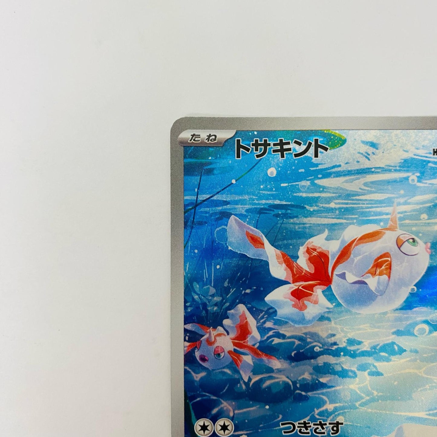 トサキント AR