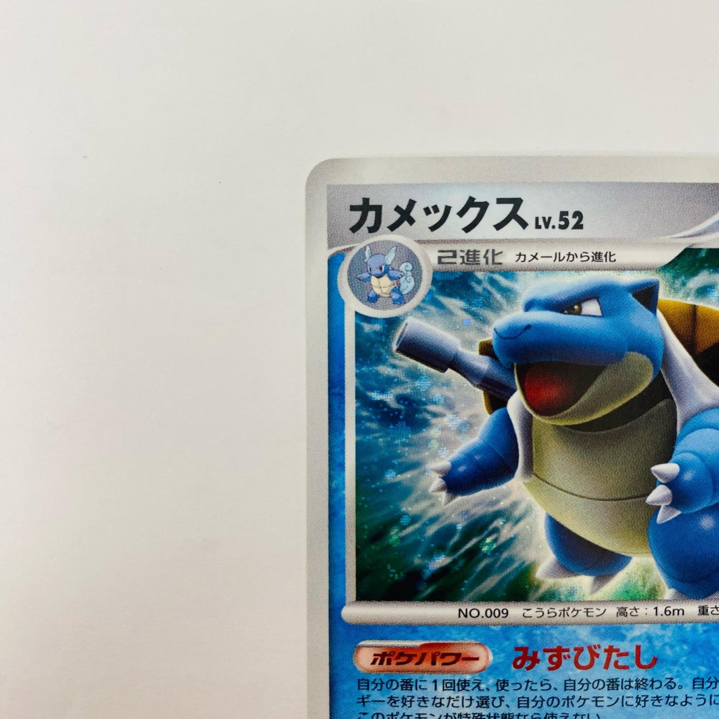 カメックスLV.52