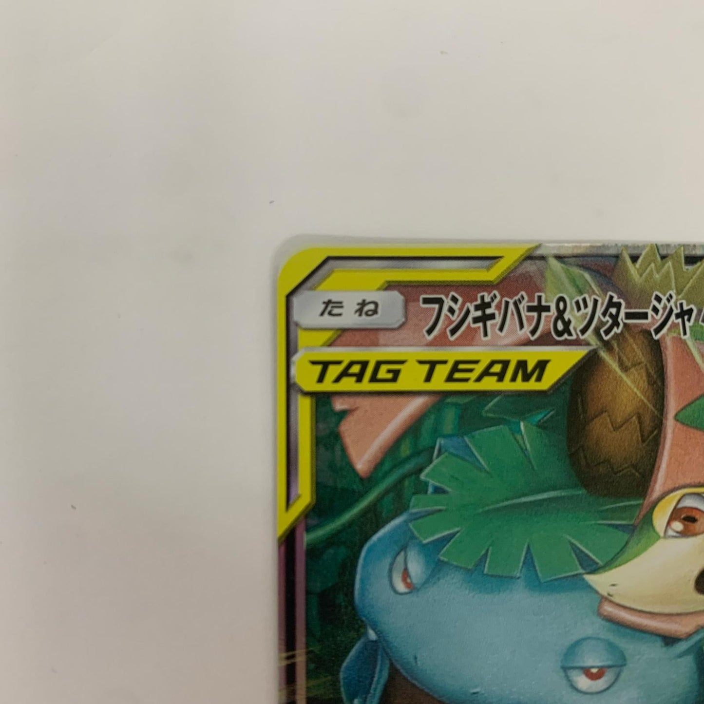 フシギバナ&ツタージャGX RR SM11a-001