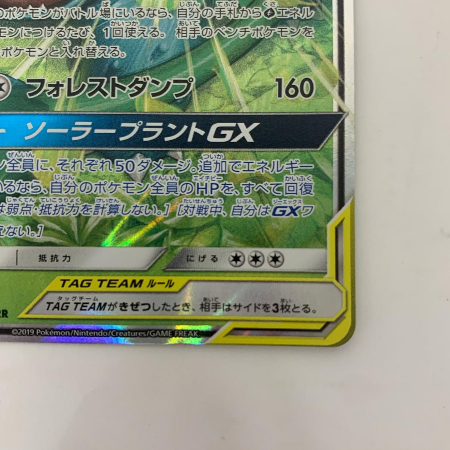 フシギバナ&ツタージャGX RR SM11a-001