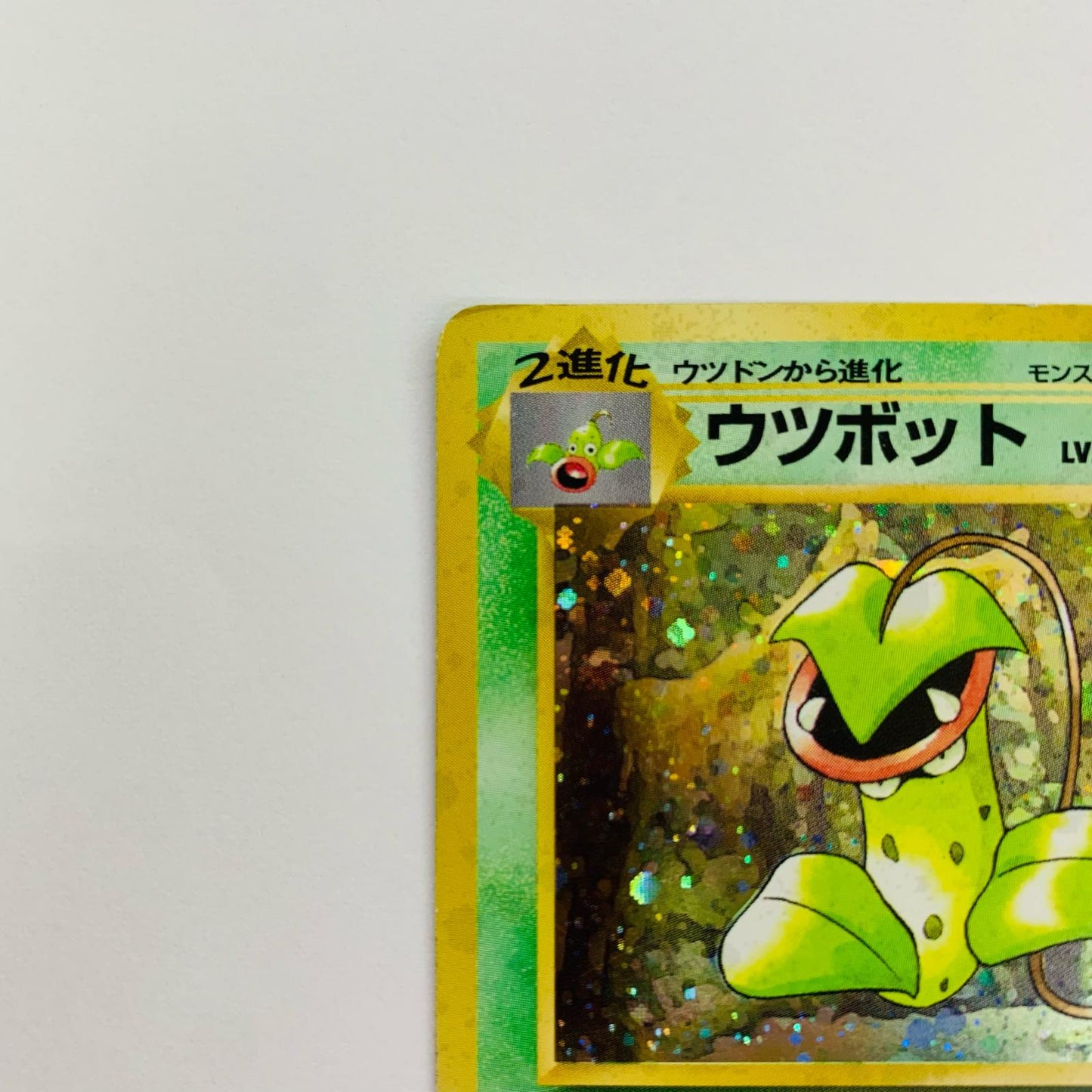 ウツボットLV.42 旧裏