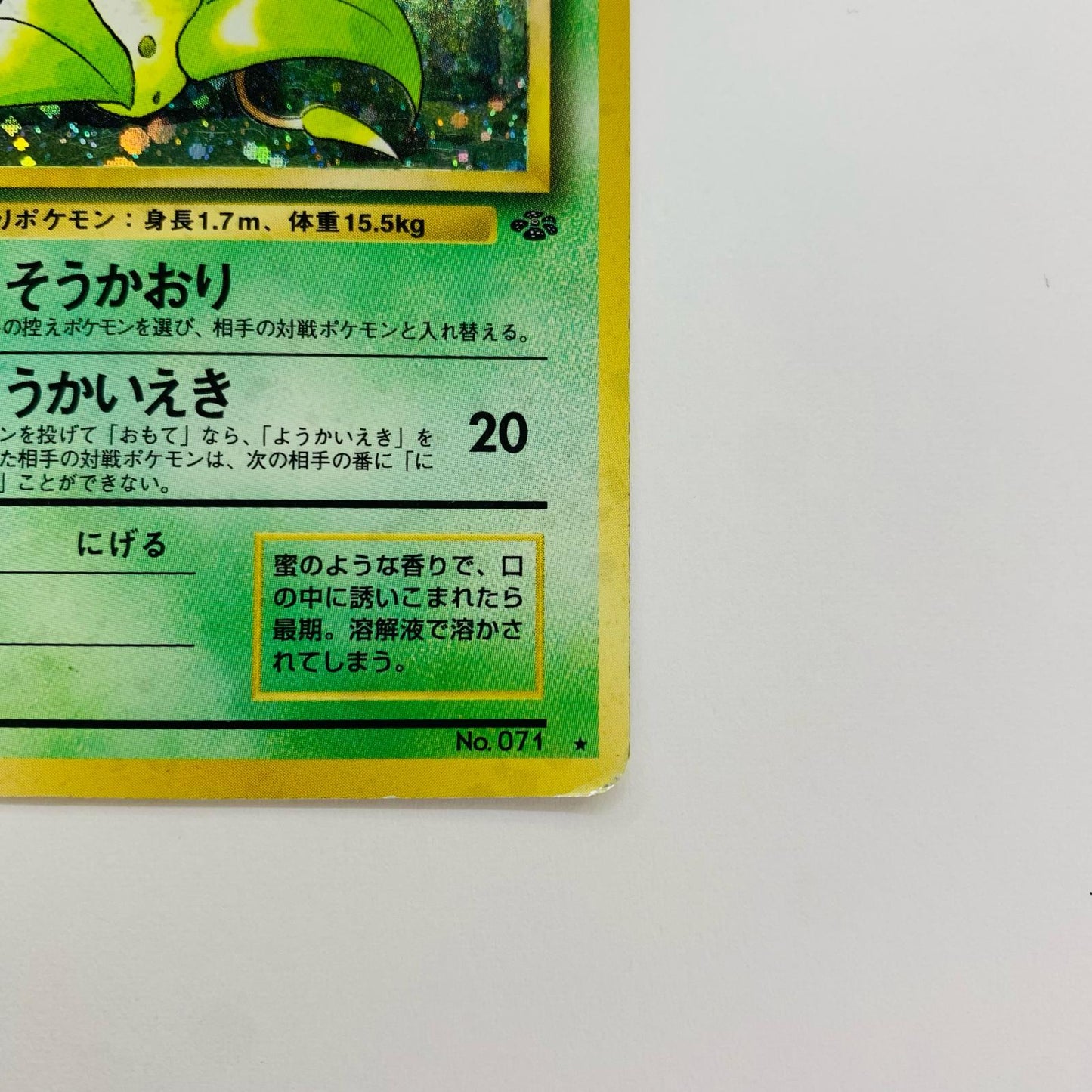 ウツボットLV.42 旧裏