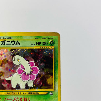 メガニウムLV.54 旧裏