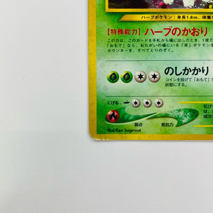メガニウムLV.54 旧裏