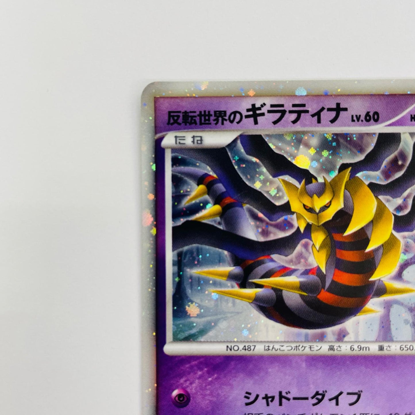 反転世界のギラティナLV.60