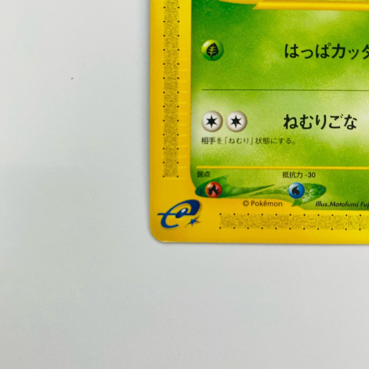 チコリータ eカード