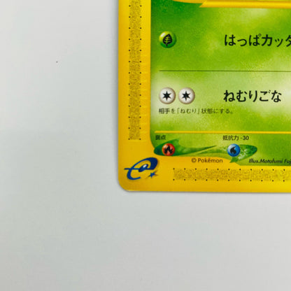 チコリータ eカード
