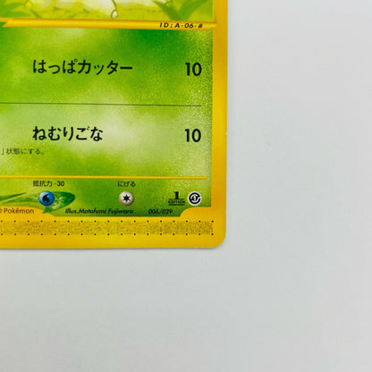 チコリータ eカード