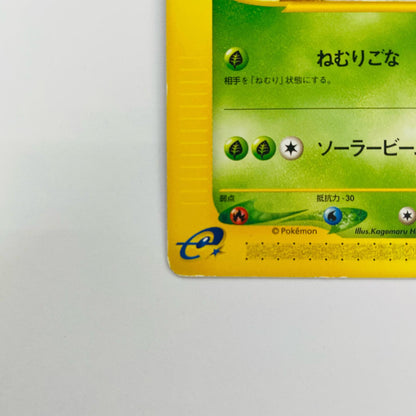 メガニウム eカード