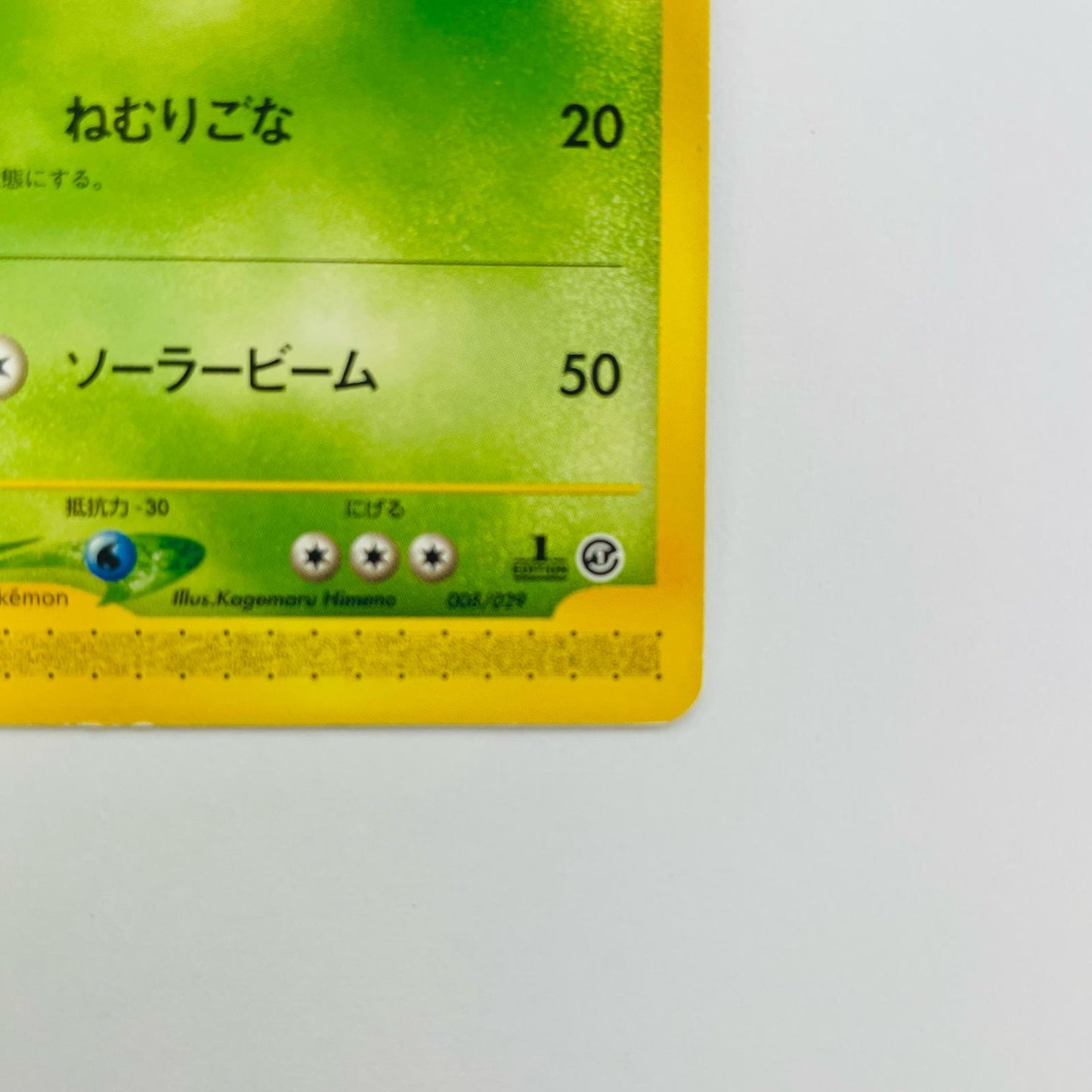 メガニウム eカード