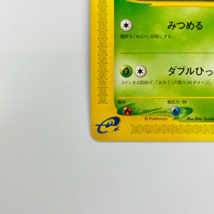 チコリータ eカード