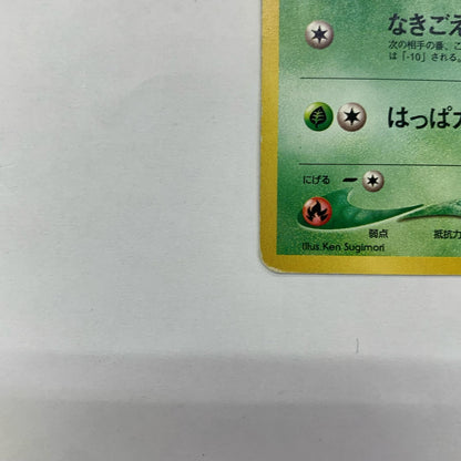 チコリータLV.19 旧裏