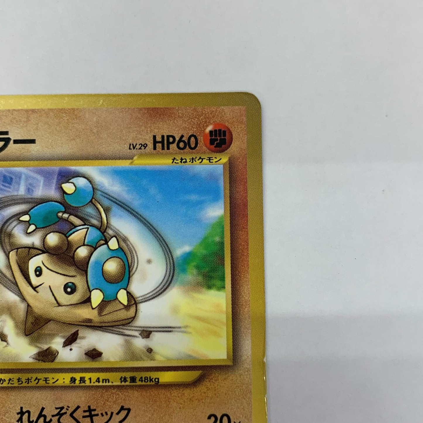 カポエラーLV.29 旧裏