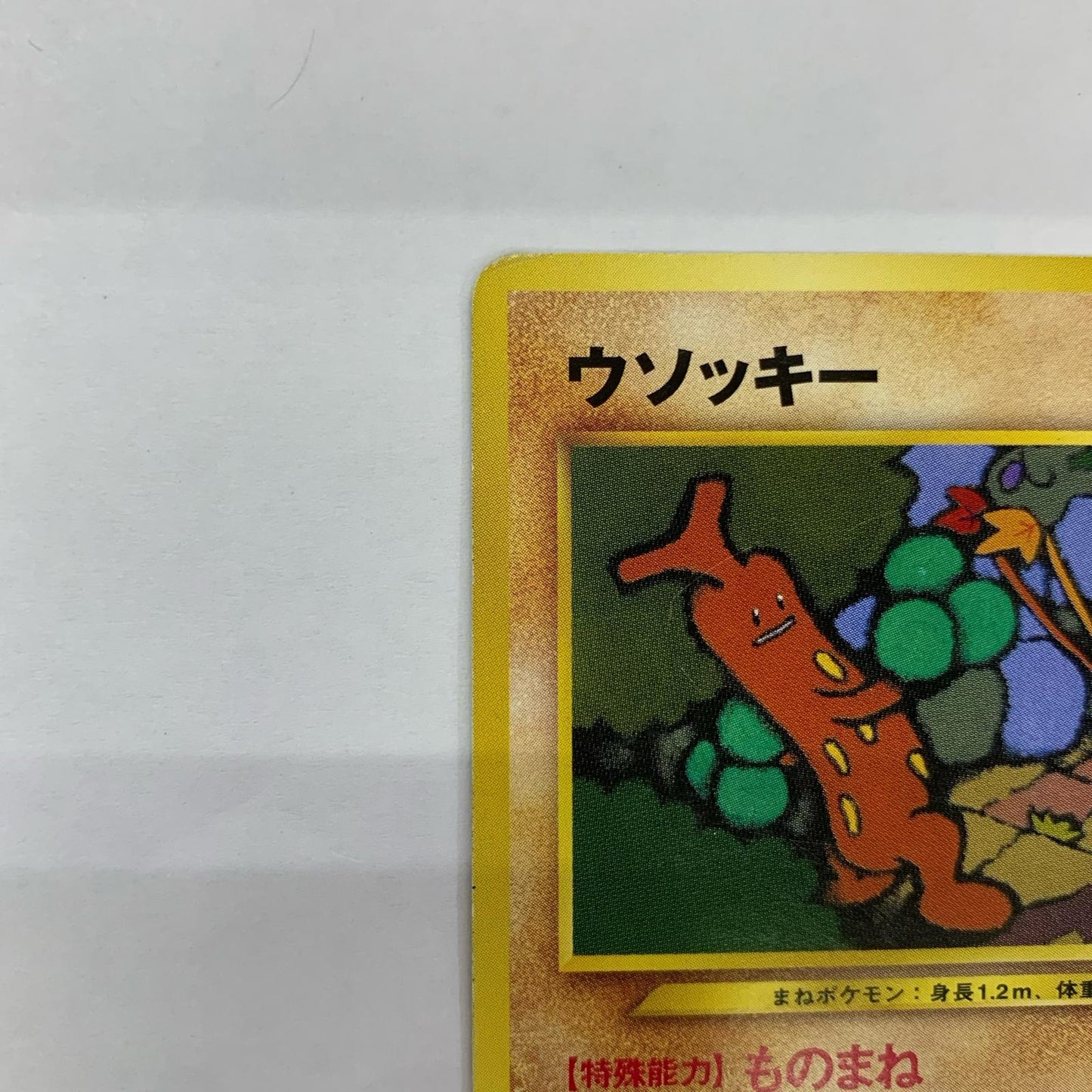 ウソッキーLV.27 旧裏