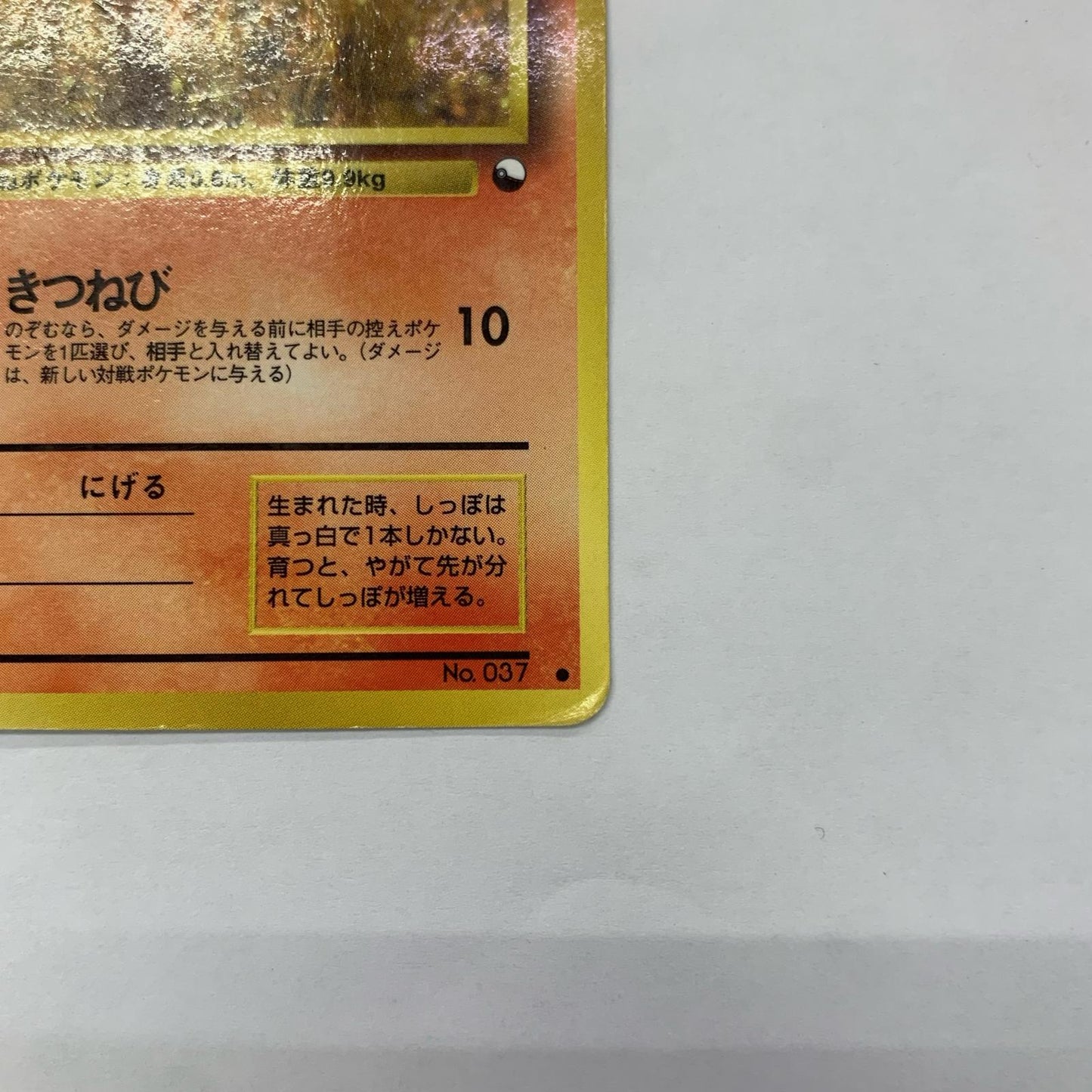 ロコンLV.13 旧裏