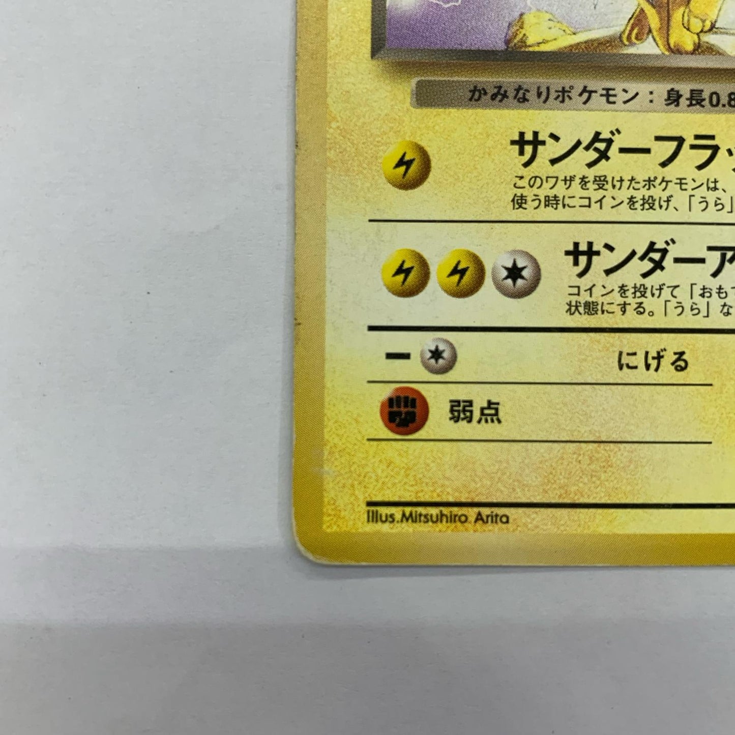 わるいサンダースLV.23 旧裏