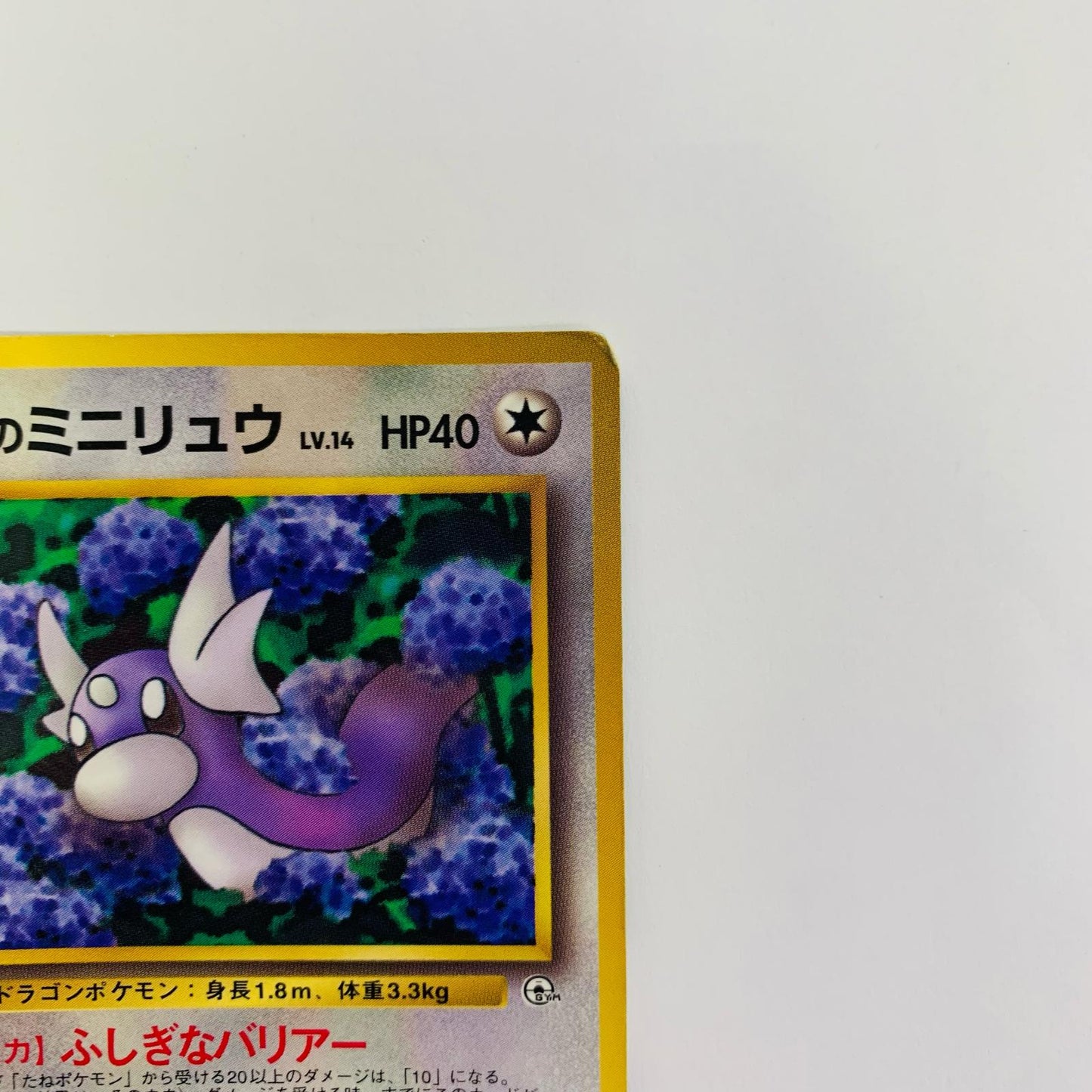 エリカのミニリュウLV.14 旧裏