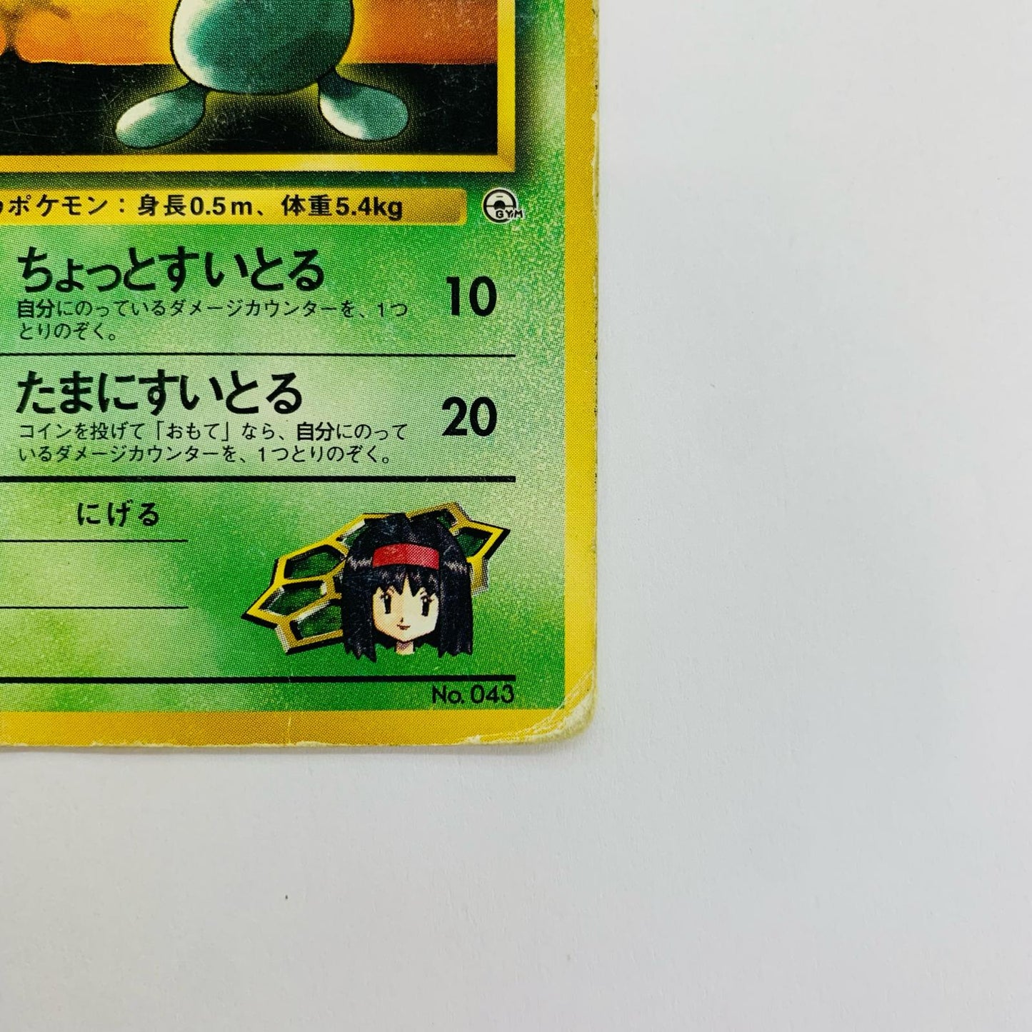 エリカのナゾノクサLV.15 旧裏