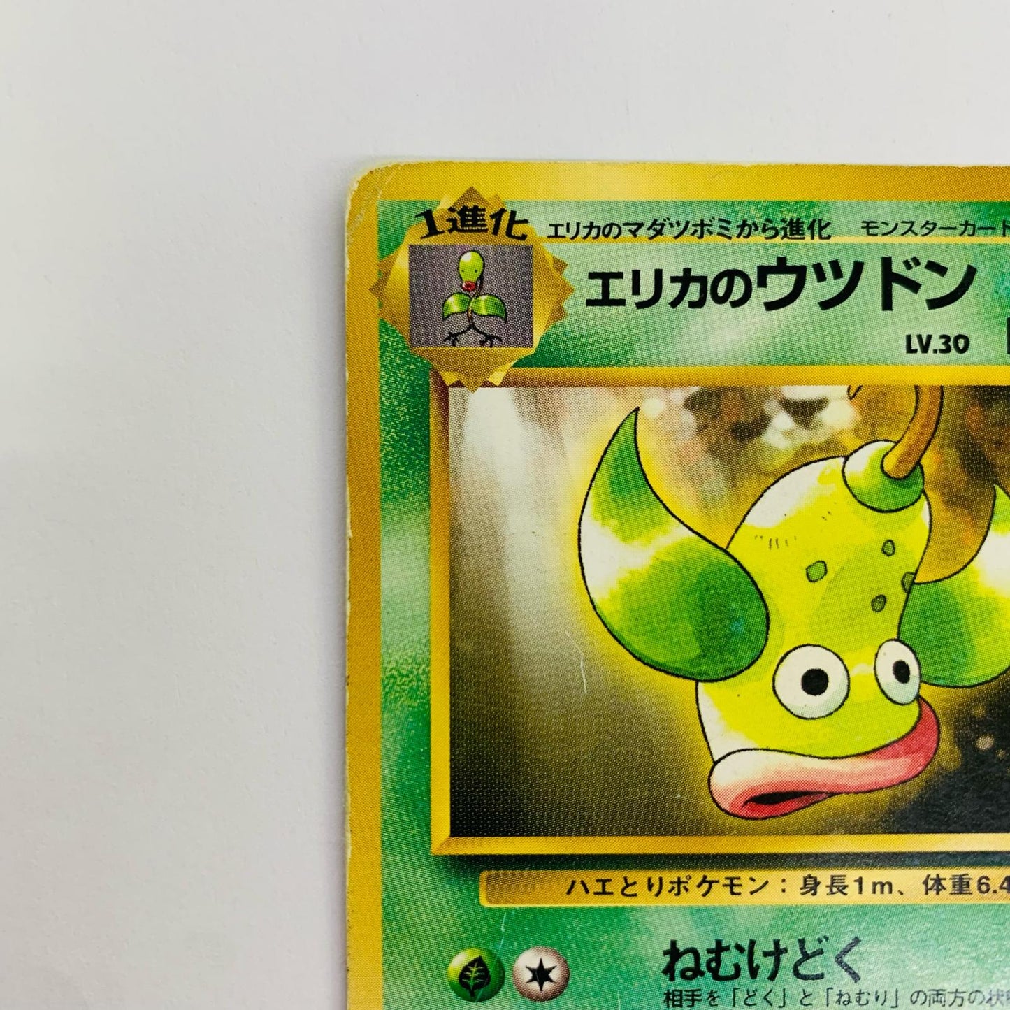 エリカのウツドンLV.30 旧裏