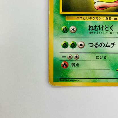 エリカのウツドンLV.30 旧裏