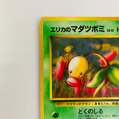 エリカのマダツボミLV.12 旧裏