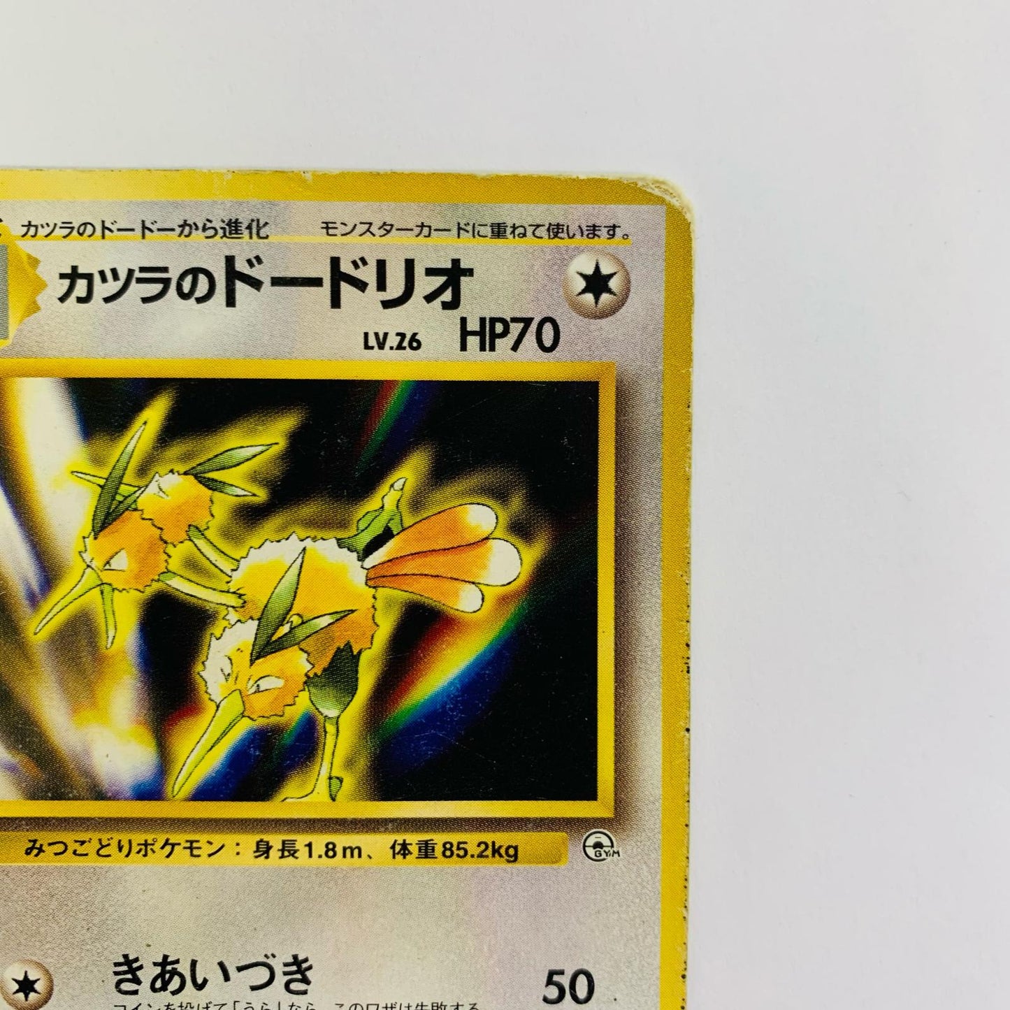 カツラのドードリオLV.26 旧裏