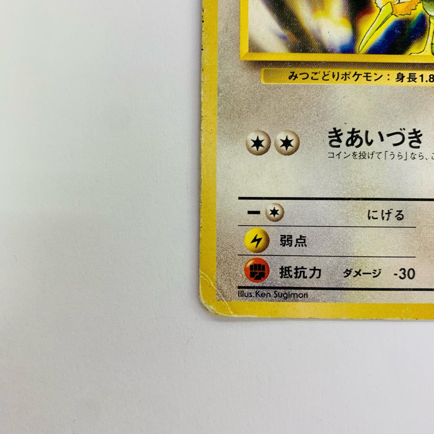 カツラのドードリオLV.26 旧裏