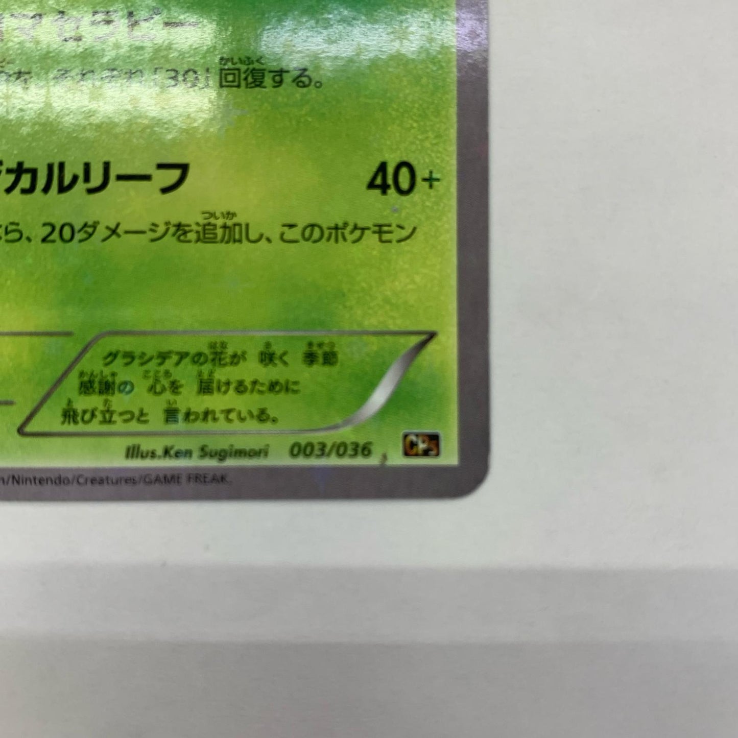 シェイミ - CP5-003