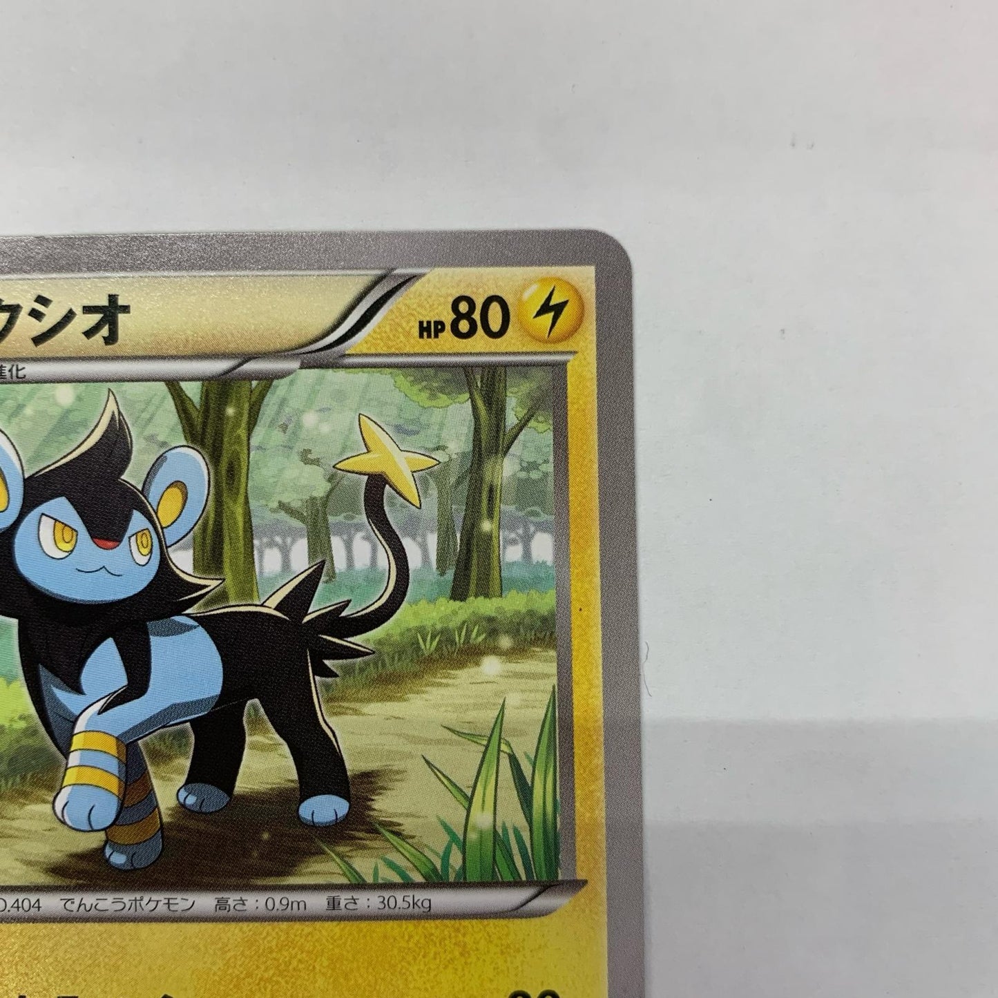 ルクシオ - 179/XY-P