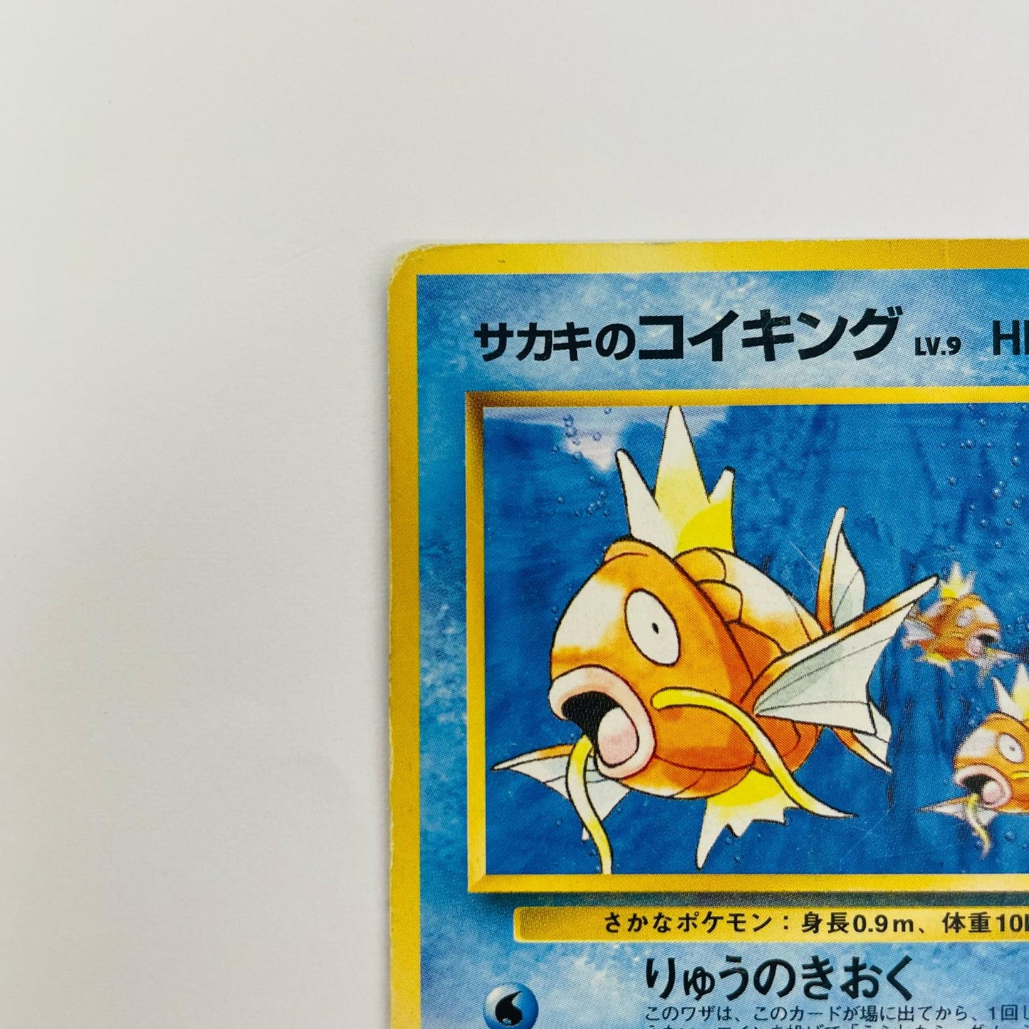 サカキのコイキングLV.9 旧裏
