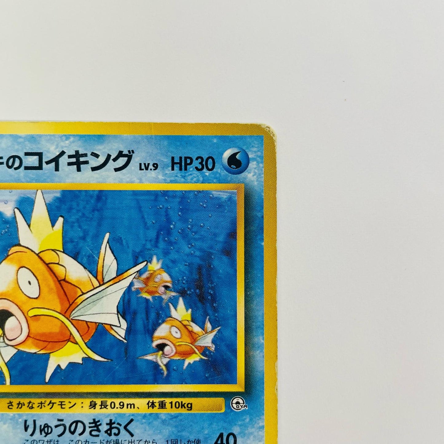 サカキのコイキングLV.9 旧裏
