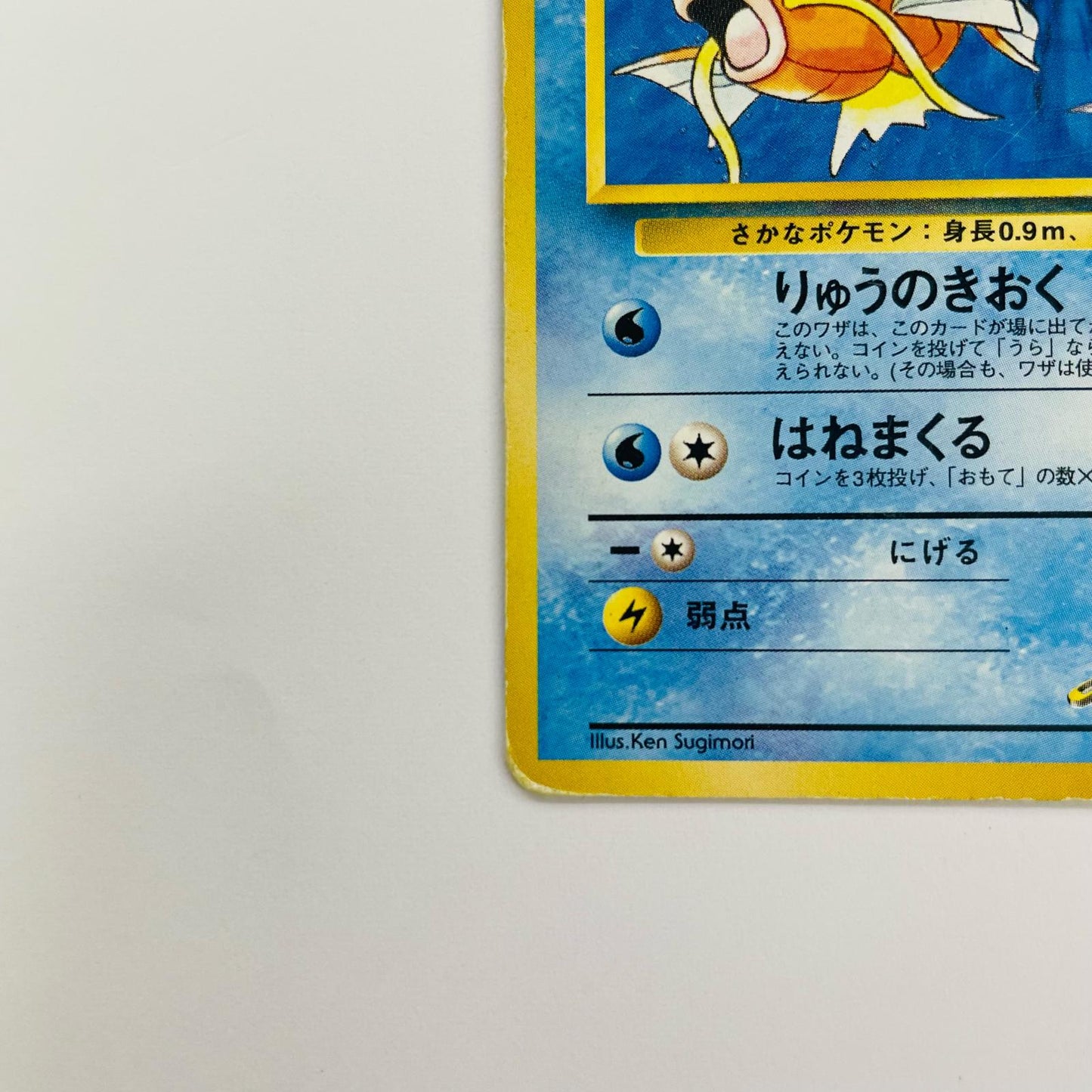 サカキのコイキングLV.9 旧裏