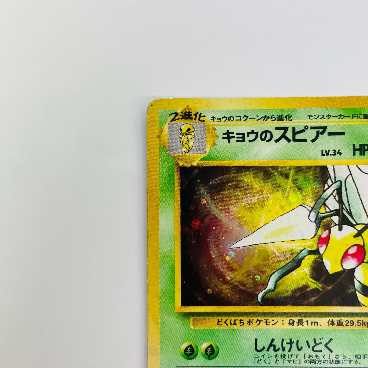 キョウのスピアーLV.34 旧裏