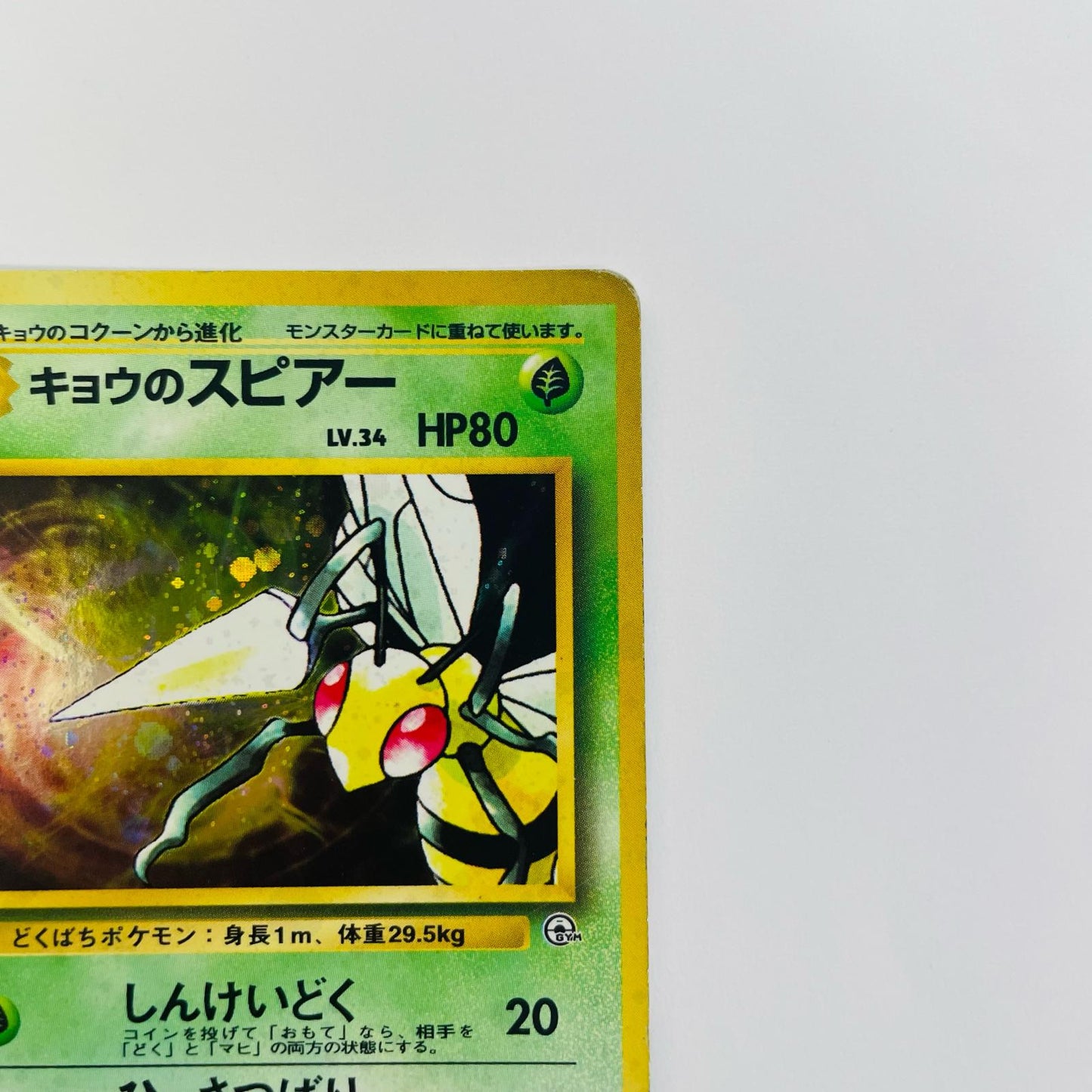 キョウのスピアーLV.34 旧裏