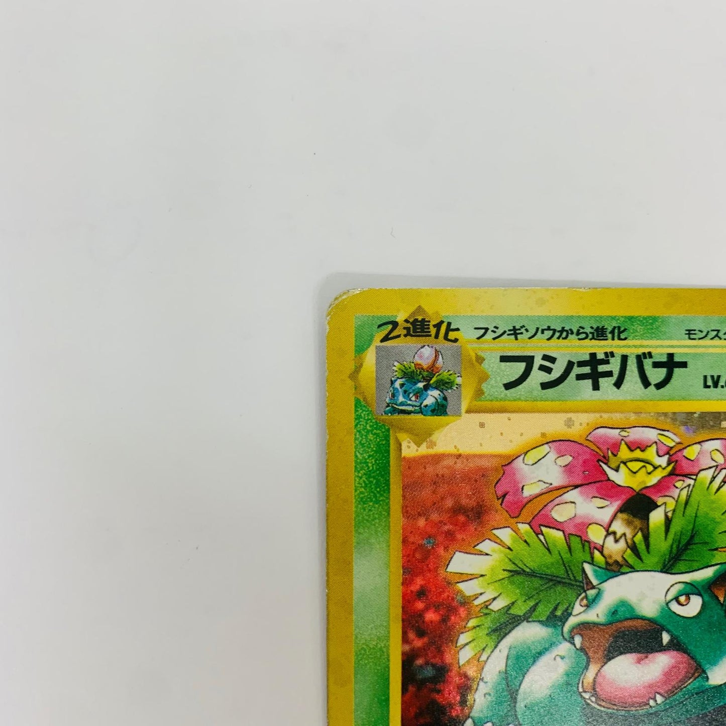 【中古】 フシギバナLV.67 旧裏【飾磨店】【代金引換不可・日時指定不可】【ポスト投函】