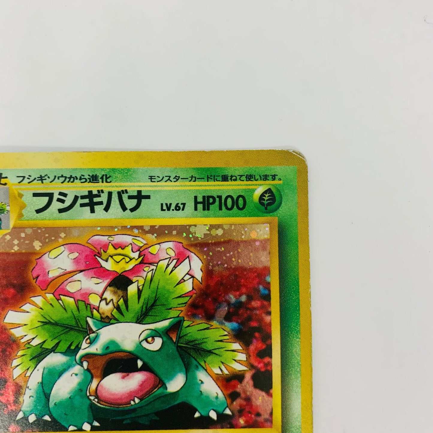 【中古】 フシギバナLV.67 旧裏【飾磨店】【代金引換不可・日時指定不可】【ポスト投函】