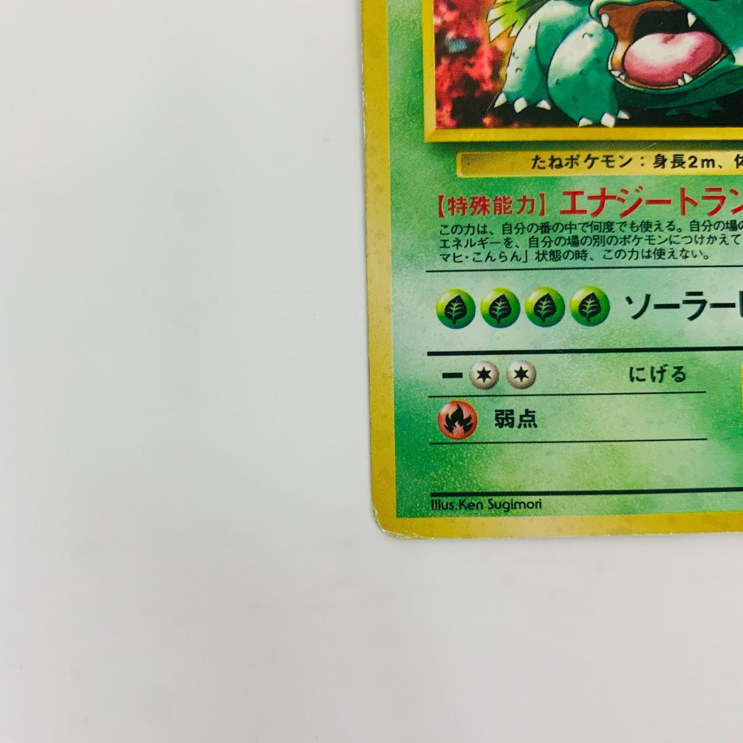 【中古】 フシギバナLV.67 旧裏【飾磨店】【代金引換不可・日時指定不可】【ポスト投函】
