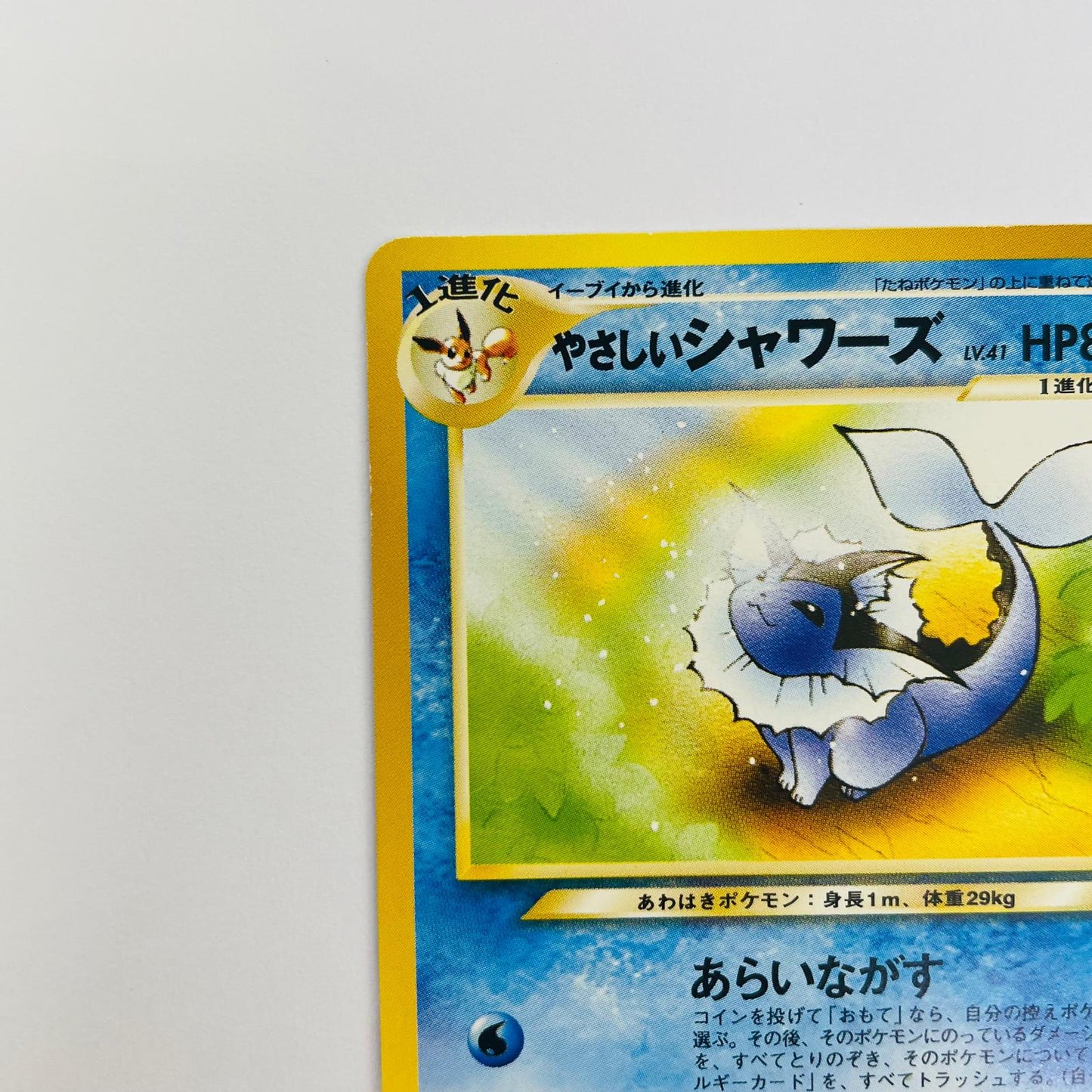 【中古】 やさしいシャワーズLV.41 旧裏【飾磨店】【代金引換不可・日時指定不可】【ポスト投函】