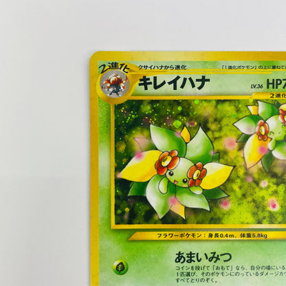 【中古】 キレイハナLV.36 旧裏【飾磨店】【代金引換不可・日時指定不可】【ポスト投函】