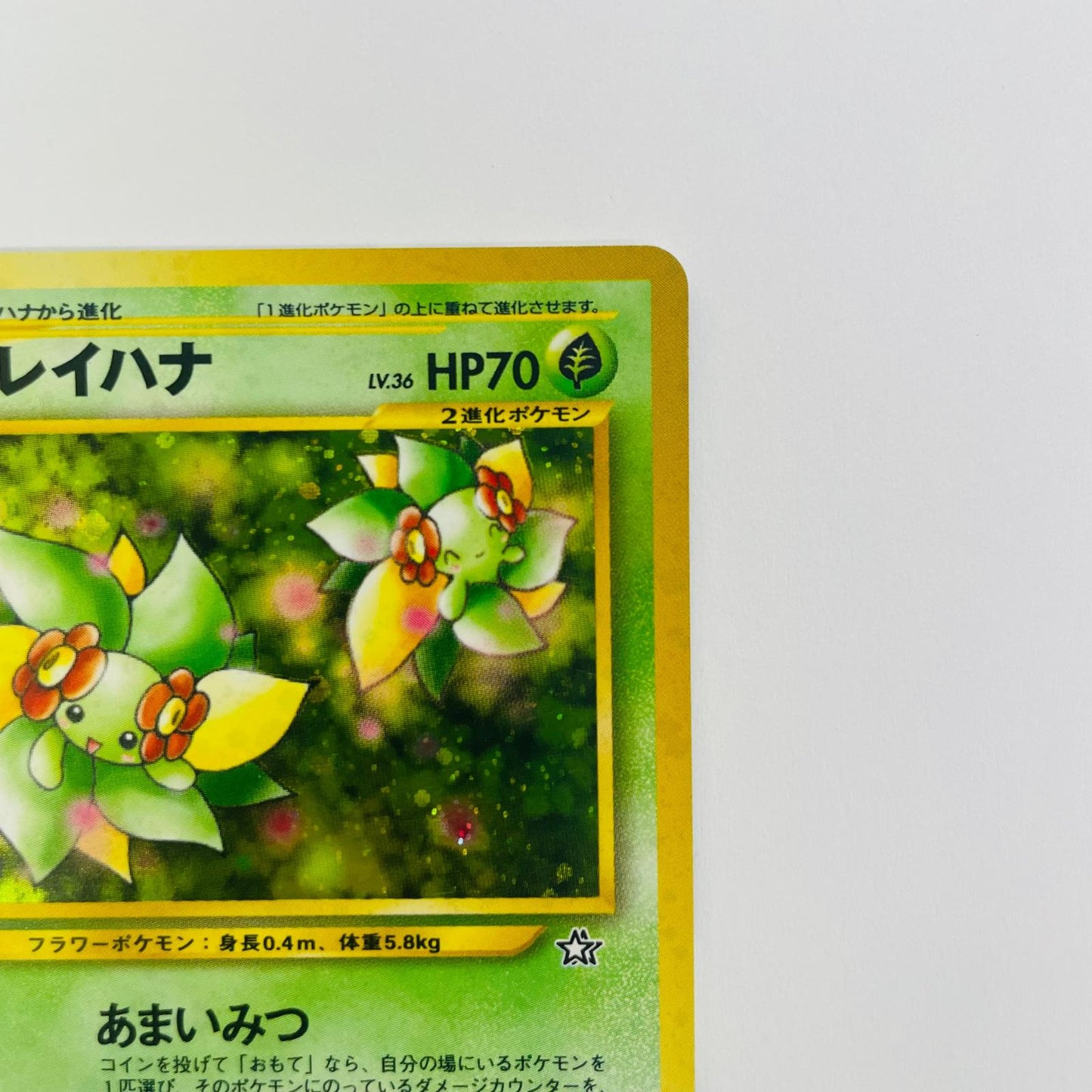 【中古】 キレイハナLV.36 旧裏【飾磨店】【代金引換不可・日時指定不可】【ポスト投函】