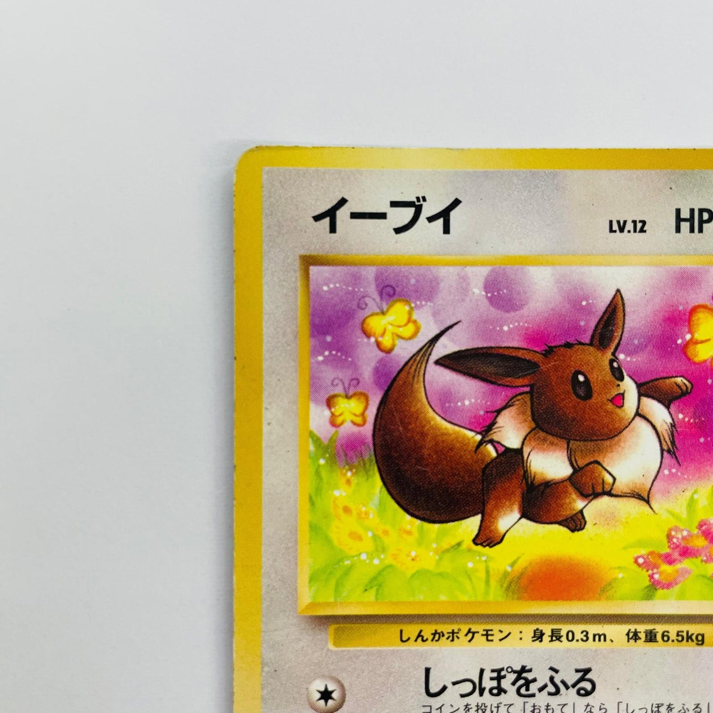 【中古】 イーブイLV.12 旧裏【飾磨店】【代金引換不可・日時指定不可】【ポスト投函】