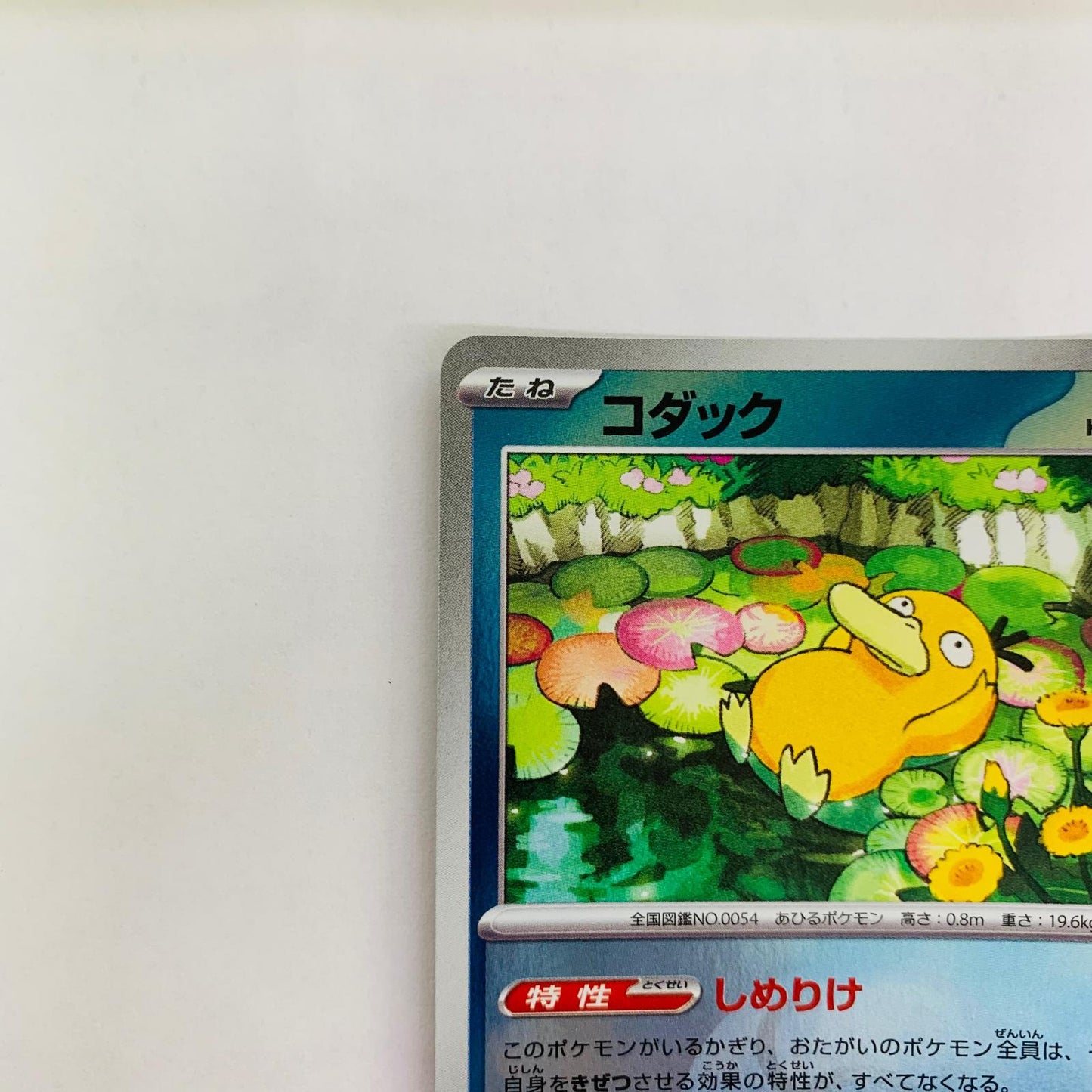 M2a-032 コダック ミラー(ボール) - M2a-032 M2a ハイクラスパック「MEGAドリームex」【飾磨店】【代金引換不可・日時指定不可】【ポスト投函】