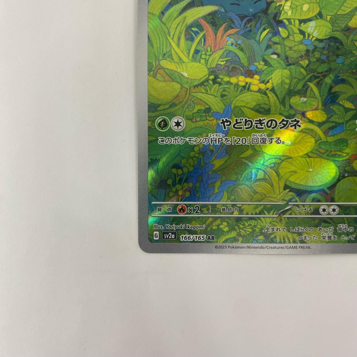 SV2a-166 AR SV2a-166 AR フシギダネ AR SV2a-166 SV2a 強化拡張パック「ポケモンカード151」【飾磨店】【代金引換不可・日時指定不可】【ポスト投函】