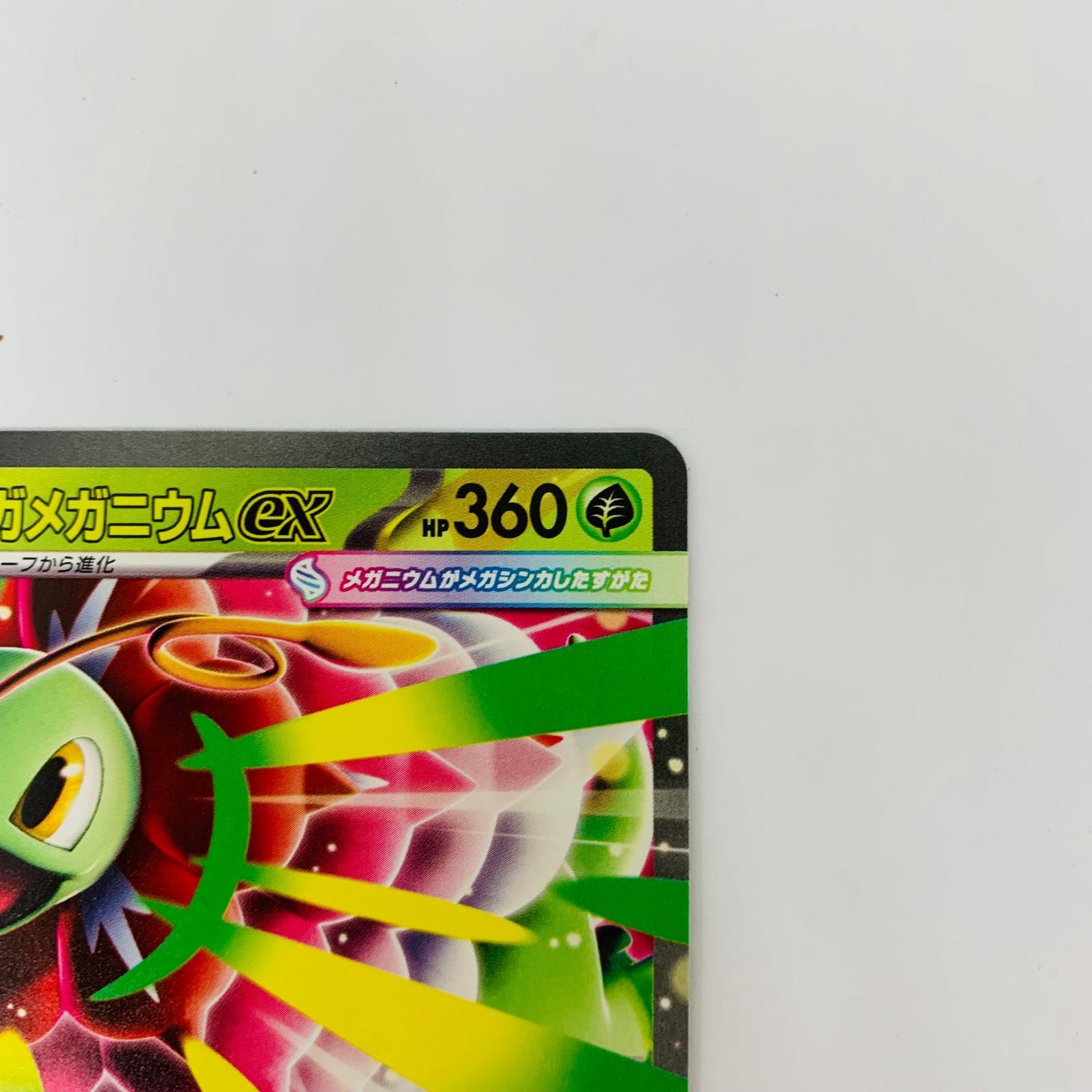 MC-018 - MC-018 - メガメガニウムex MC-018 MC スタートデッキ100 バトルコレクション【飾磨店】【代金引換不可・日時指定不可】【ポスト投函】